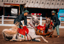 Le Salon du Cheval d’El Jadida accueille la Cavalerie Royale d’Oman Le Salon du Cheval d’El Jadida accueille la Cavalerie Royale d’Oman