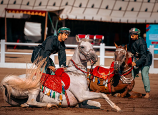Le Salon du Cheval d’El Jadida accueille la Cavalerie Royale d’Oman Le Salon du Cheval d’El Jadida accueille la Cavalerie Royale d’Oman