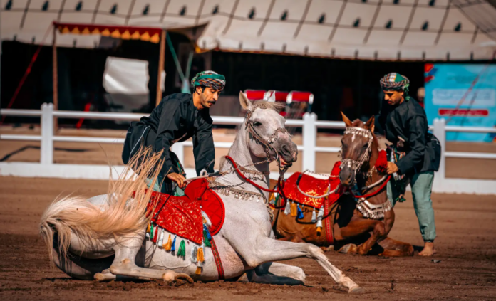 Le Salon du Cheval d’El Jadida accueille la Cavalerie Royale d’Oman Le Salon du Cheval d’El Jadida accueille la Cavalerie Royale d’Oman